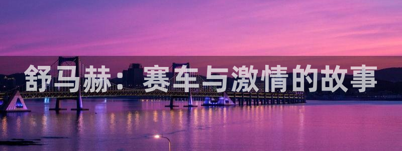 米兰体育官网下载平台:舒马赫:赛车与激情的故事