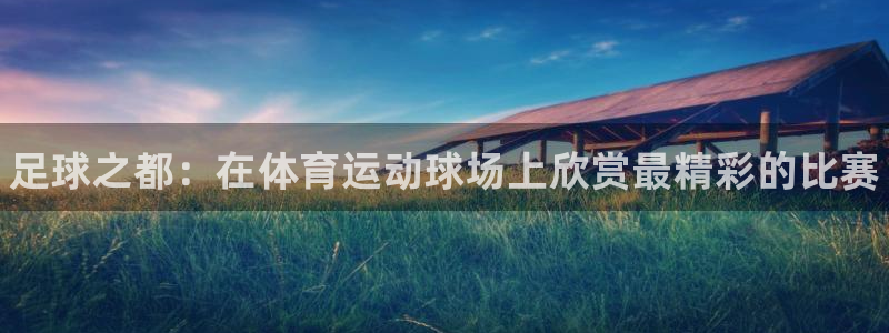 米兰体育官网下载平台注册要钱吗安全吗:足球之都:在体育运动球