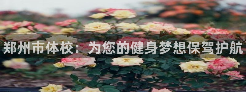 米兰体育官网下载招商:郑州市体校:为您的健身梦想保驾护航
