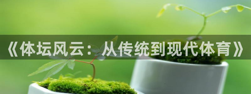 米兰体育官网下载招商电话地址:《体坛风云:从传统到现代体育》